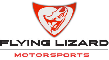 Flying Lizard Gear